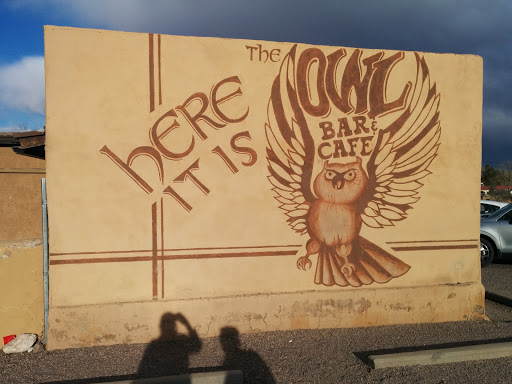 Owl Bar Mural