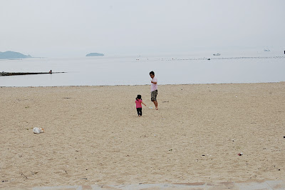 海