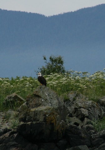 [Alaska 2008 183[2].jpg]