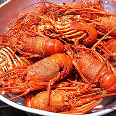 Lagosta Suada - Portugal - Lobster in Tomato and wine sauce