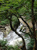 Cascadas de Juan Curí