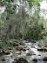 Parque del Gallineral
