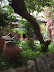 Jardines interiores en Girón Jardines interiores en Girón