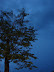 Amenaza lluvia Amenaza lluvia