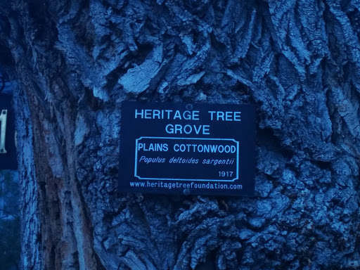 Heritage Tree Grove