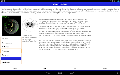 How to download Decode Mitosis 5 apk for pc