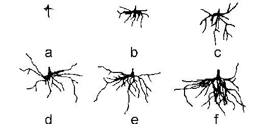 7DC26F97-DF81-4171-A97F-39FD50784410.jpg