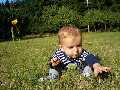Oliver on Vashon