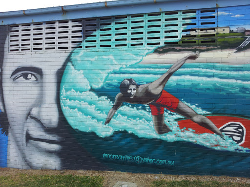 Dixon Park Surfing Murals