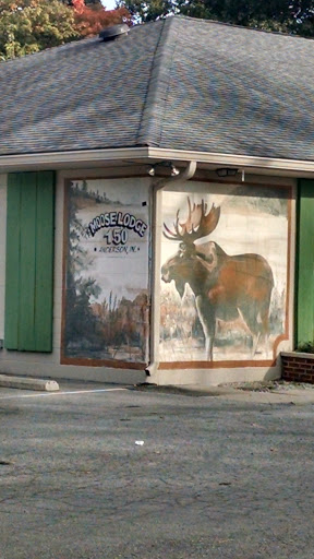 Moose Lodge Wall Art