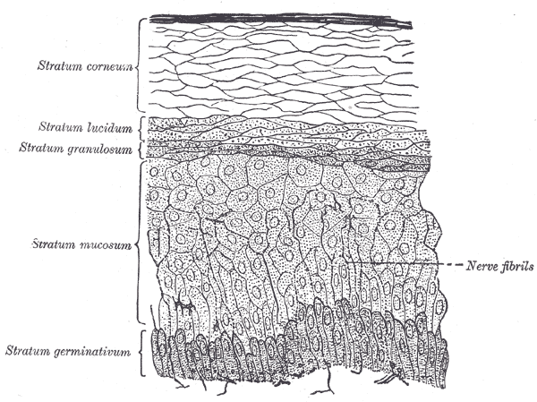 [image941[5].gif]