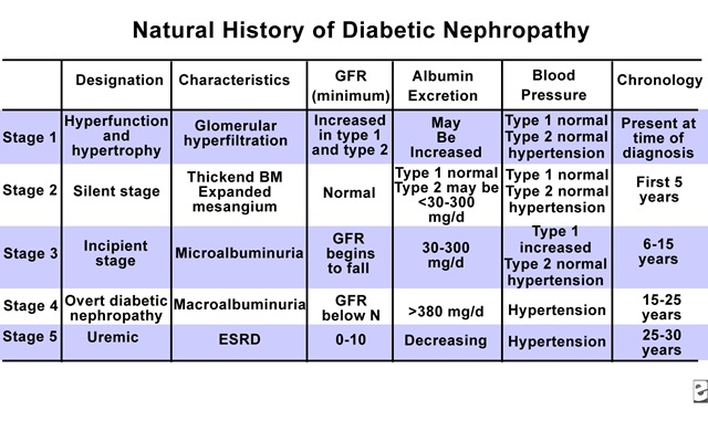 [diabetic nephropathy[4].jpg]