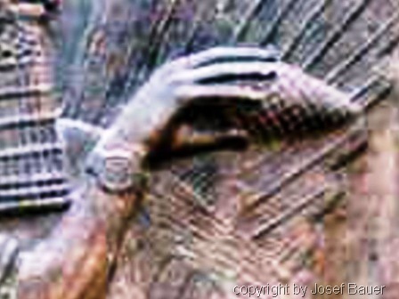 afirmaban descender de dioses