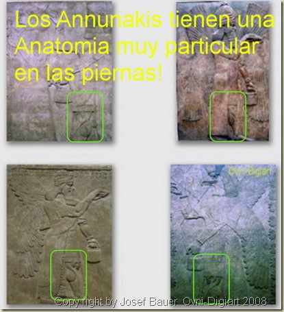 rodilla de un Annunaki v12_resize