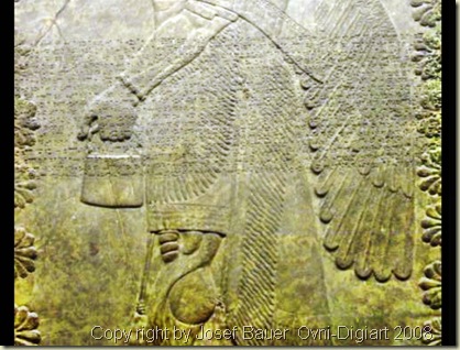image_12_resize
