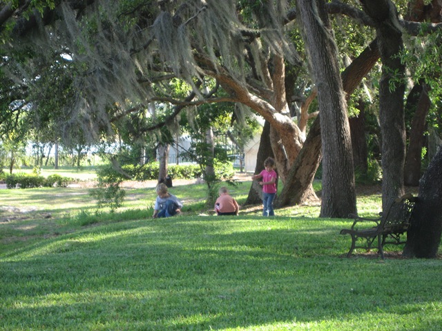 [IMG_13242.jpg]