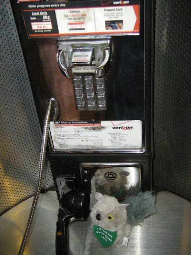 Vevericious telefonari