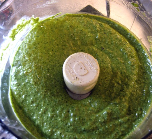 [pesto basil2[1].jpg]