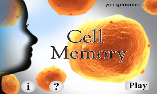 CellMemory