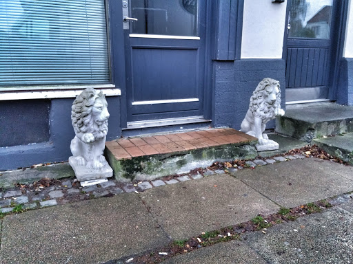 The Lions Of Emdrupvej