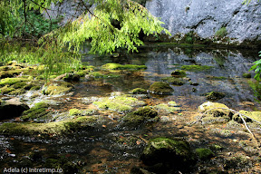 scarisoara-8.jpg