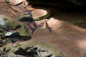 scarisoara-18.jpg