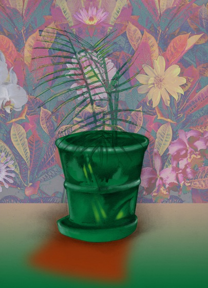 planta1