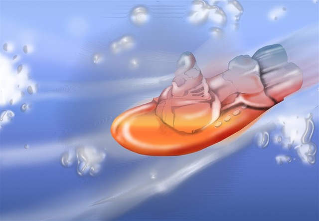[submarino (Large)[5].jpg]