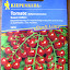 Tomato 'Sweet Million' Seeds