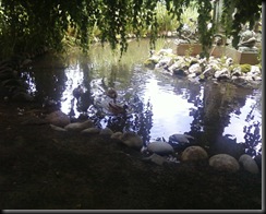 Photo0006