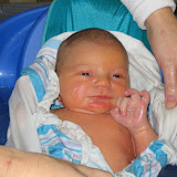 Carson Bison Bromwell