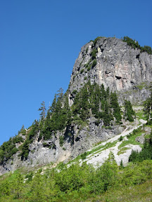 IMG_3486.jpg