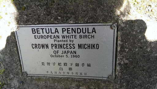 Crown Princess Michiko