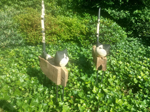 Garden Cats 