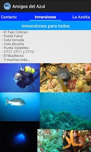 How to get Amigos del Azul 1.1 mod apk for pc