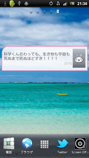 Shokotan Blog Widget