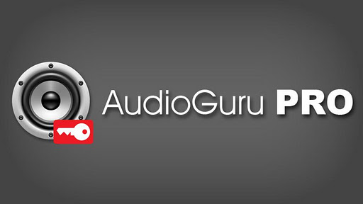 AudioGuru Pro Key