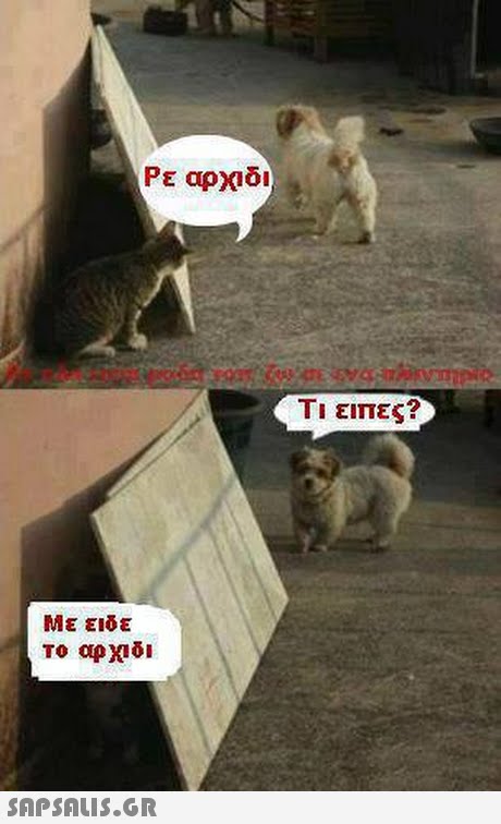 Ρε αρχιδι Ti ειπες? 
