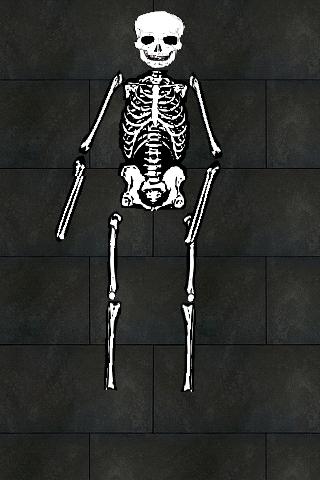 Halloween Skeleton Ragdoll