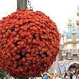 Discover Disney