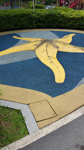 Yellow Giant Star Fish Play Area