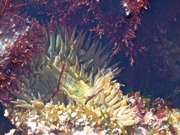 Spotting Image 1