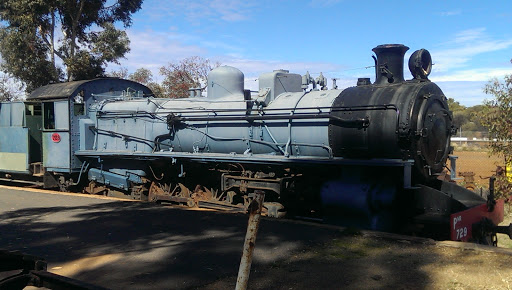 729 Steam loco