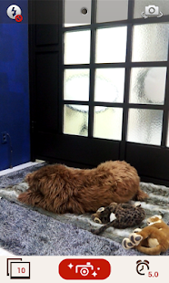 GIF Maker Screenshot