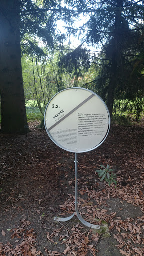 Mendelu Arboretum Kavkaz