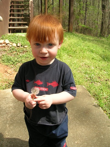 [Evan Year one 21 mos 003[2].jpg]