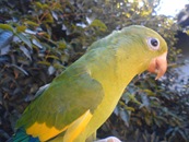 deinha03