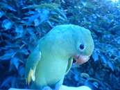 deinha01