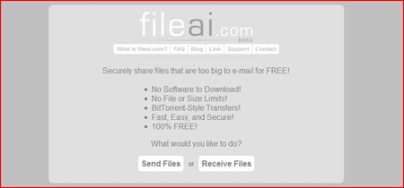 [fileai[4].jpg]