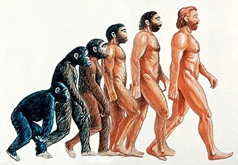 [evolucion humana[3].jpg]